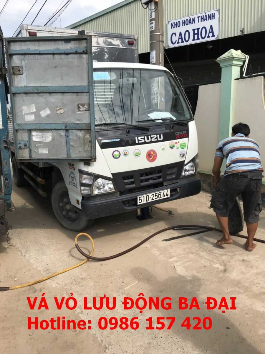Vá vỏ quanh đây